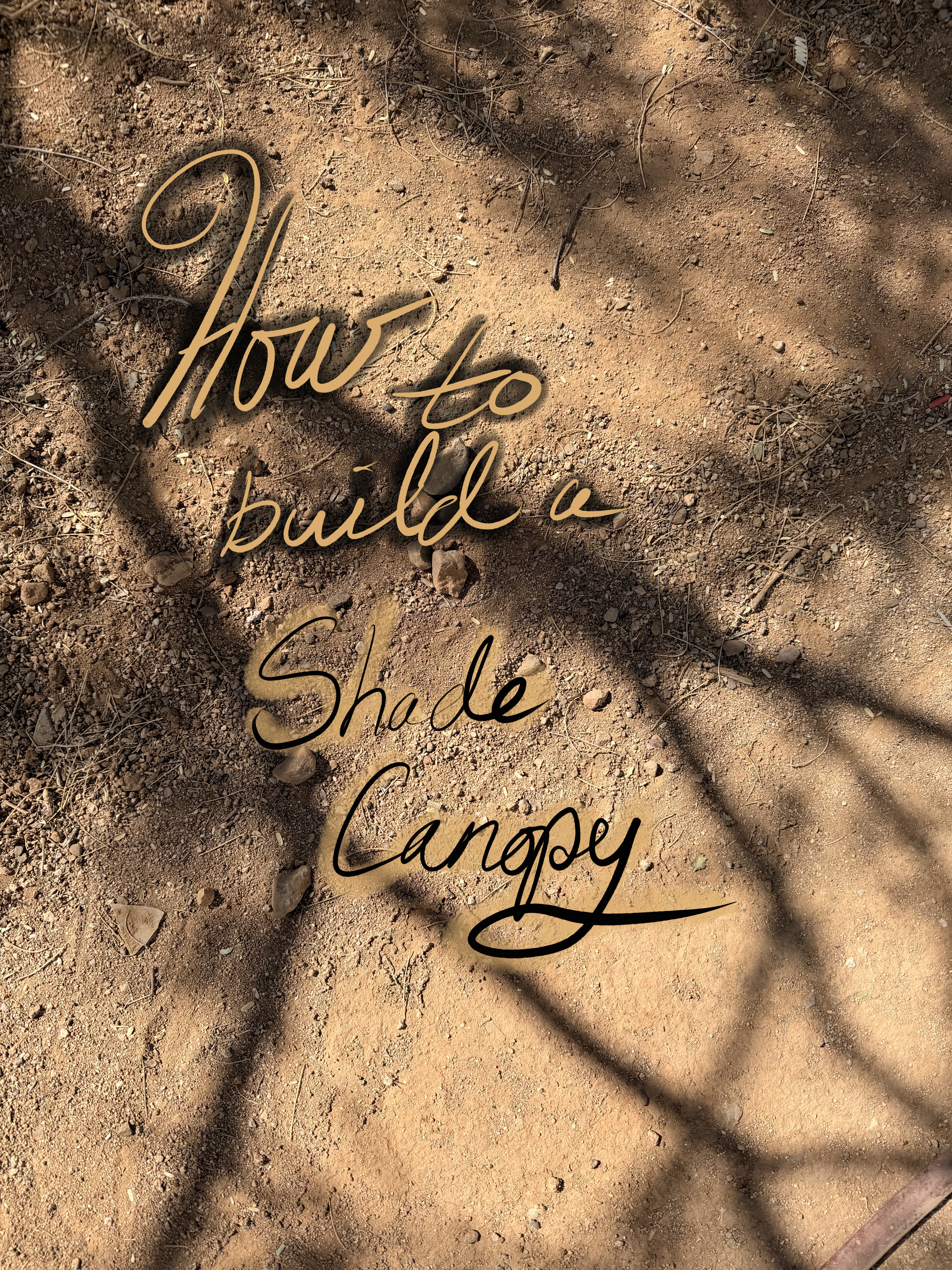 A desert floor of dirt with tree shade cast from above text on the image reads how to build a shade canopy.